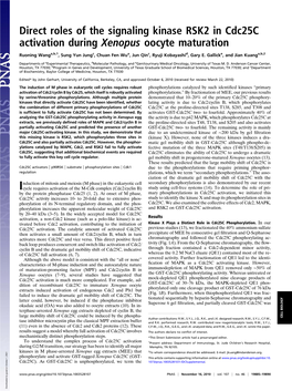 Direct Roles of the Signaling Kinase RSK2 in Cdc25c Activation During Xenopus Oocyte Maturation