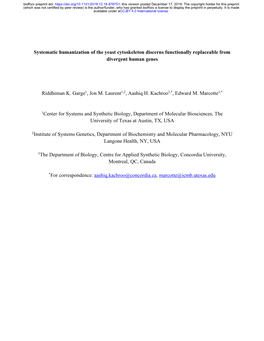 Systematic Humanization of the Yeast Cytoskeleton Discerns Functionally Replaceable from Divergent Human Genes