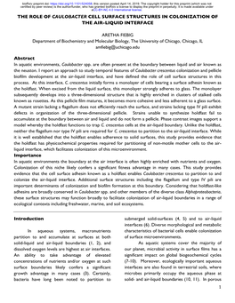 The Role of Caulobacter Cell Surface Structures in Colonization of the Air-Liquid Interface