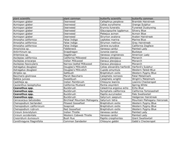 OC Butterfly Host Plants.Xlsx