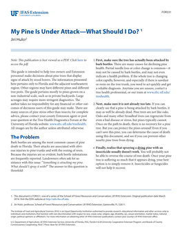 My Pine Is Under Attack—What Should I Do? 1 Jiri Hulcr2