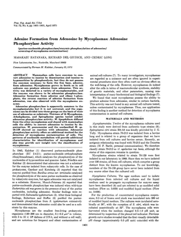 Adenine Formation from Adenosine by Mycoplasmas