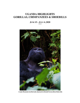 Uganda Highlights Gorillas, Chimpanzees & Shoebills