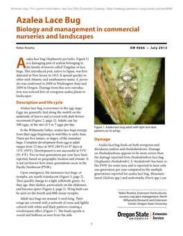Azalea Lace Bug Biology and Management in Commercial Nurseries and Landscapes