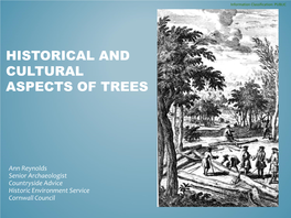 Historical and Cultural Aspects of Trees