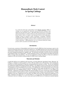Diamondback Moth Control in Spring Cabbage