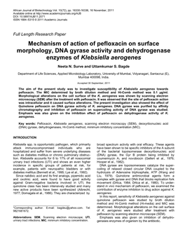 Mechanism of Action of Pefloxacin on Surface Morphology, DNA Gyrase Activity and Dehydrogenase Enzymes of Klebsiella Aerogenes