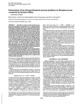 Generation of an Electrochemical Proton Gradient in Streptococcus Cremoris by Lactate Efflux (Fermentation/Transport) ROEL OTTO, ANTON S