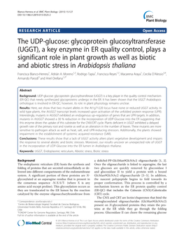 The UDP-Glucose: Glycoprotein Glucosyltransferase (UGGT)