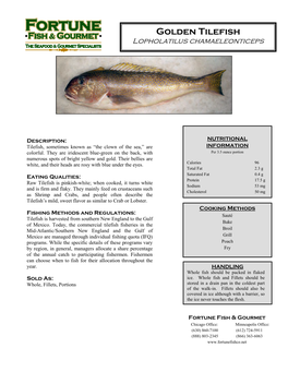 Golden Tilefish Lopholatilus Chamaeleonticeps