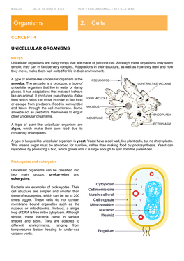 2. Cells Organisms