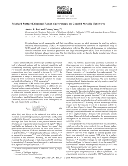 Polarized Surface-Enhanced Raman Spectroscopy on Coupled Metallic Nanowires