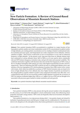 New Particle Formation: a Review of Ground-Based Observations at Mountain Research Stations