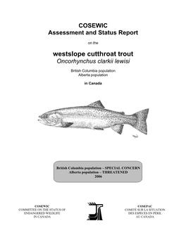 Westslope Cutthroat Trout Oncorhynchus Clarkii Lewisi