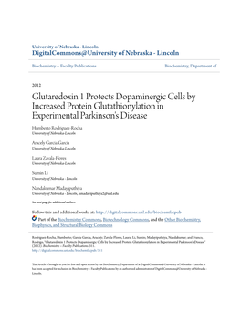 Glutaredoxin 1 Protects Dopaminergic Cells by Increased Protein