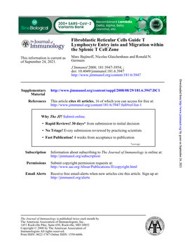 The Splenic T Cell Zone Within Lymphocyte Entry Into And