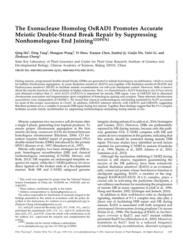 The Exonuclease Homolog Osrad1 Promotes Accurate Meiotic Double-Strand Break Repair by Suppressing Nonhomologous End Joining1[OPEN]