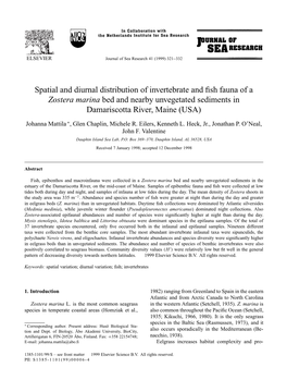 Zostera Marina Bed and Nearby Unvegetated Sediments in Damariscotta River, Maine (USA)