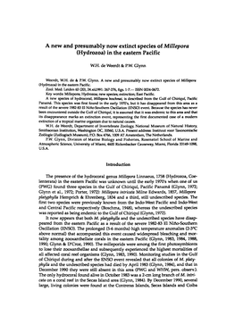 A New and Presumably Now Extinct Species of Millepora (Hydrozoa) in the Eastern Pacific