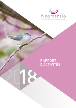 Rapport D'activités