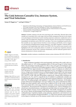 The Link Between Cannabis Use, Immune System, and Viral Infections