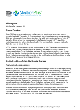 IFT80 Gene Intraflagellar Transport 80