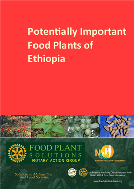 Nutritional Values of Food Plants by Plant Family