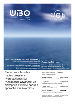 Etude Des Effets Des Hautes Pressions Hydrostatiques Sur Pyrococcus Yayanosii , Un Piézophile Extrême Par Une Approche Multi-« Omics »