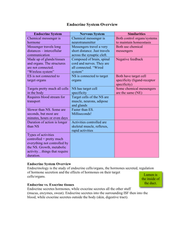 Endocrine System Overview