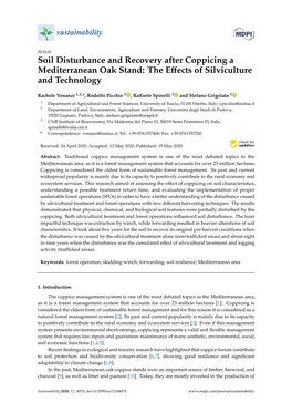 Soil Disturbance and Recovery After Coppicing a Mediterranean Oak Stand: the Eﬀects of Silviculture and Technology