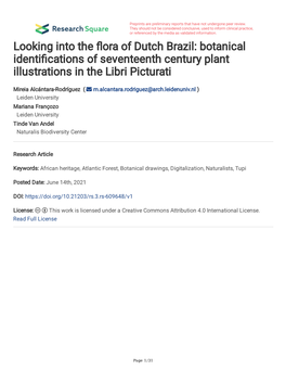 Botanical Identi Cations of Seventeenth Century Plant Illustrations in The