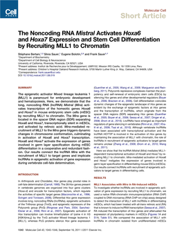 The Noncoding RNA Mistral Activates Hoxa6 and Hoxa7 Expression and Stem Cell Differentiation by Recruiting MLL1 to Chromatin