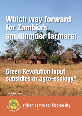 Which Way Forward for Zambia's Smallholder Farmers