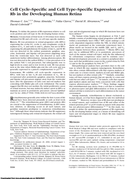 Cell Cycle–Specific and Cell Type–Specific Expression of Rb in The