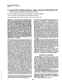 A Second DNA Methyltransferase Repair Enzyme in Escherichia Coli (Ada-Alb Operon Deletion/O'-Methylguanine/04-Methylthyne/Suicide Enzyme) G