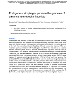 Endogenous Virophages Populate the Genomes of a Marine Heterotrophic Flagellate