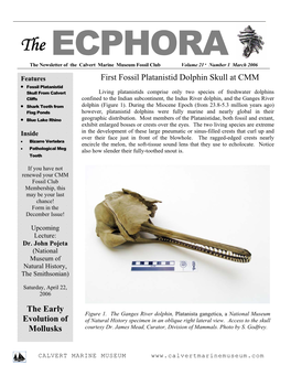 First Fossil Platanistid Dolphin Skull at CMM the Early Evolution of Mollusks