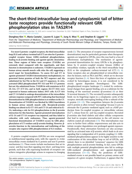 The Short Third Intracellular Loop and Cytoplasmic Tail of Bitter Taste