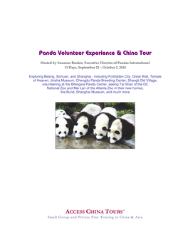Panda Volunteer Experience & China Tour