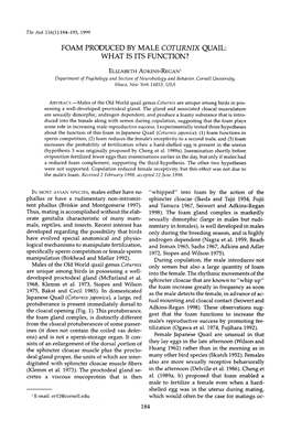 Foam Produced by Male Coturnix Quail: What Is Its Function?