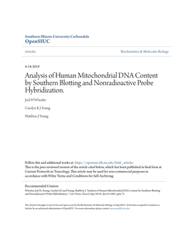 Analysis of Human Mitochondrial DNA Content by Southern Blotting and Nonradioactive Probe Hybridization