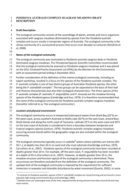 Posidonia Australis Complex Seagrass Meadows Draft Description