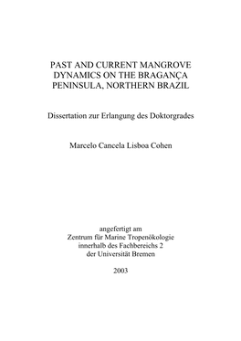 Past and Current Mangrove Dynamics on the Bragança Peninsula, Northern Brazil