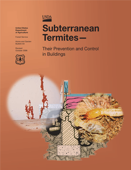 Subterranean Termites—