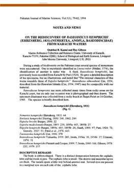 On the Rediscovery of Baseodiscus Hemprichii (Ehrenberg, 1831) (Nemerteam, Anapla, Baseodiscidae) From