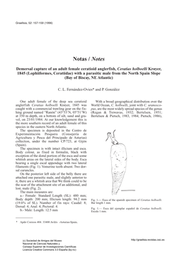 Lophiiformes, Ceratiidae) with a Parasitic Male from the North Spain Slope (Bay of Biscay, NE Atlantic)