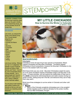 40. Chickadee