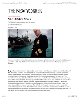 Neptune : the New Yorker