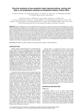 Survival Analysis of Two Endemic Lizard Species Before, During and After a Rat Eradication Attempt on Desecheo Island, Puerto Rico