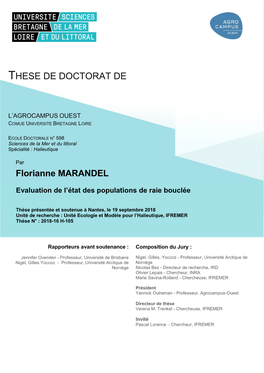 These De Doctorat De